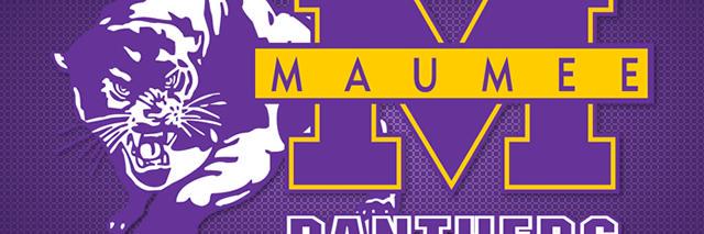 Steve Lee banner
