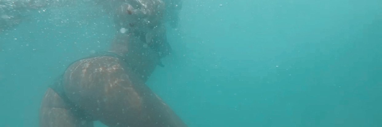 Meeks_AU's profile banner image