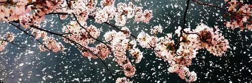 aesong_ee's profile banner image
