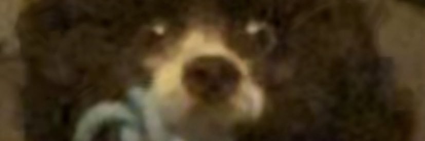 _AshleyCrane_'s profile banner image