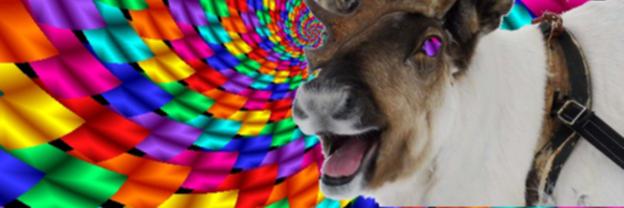 Nice_Reindeer's profile banner image