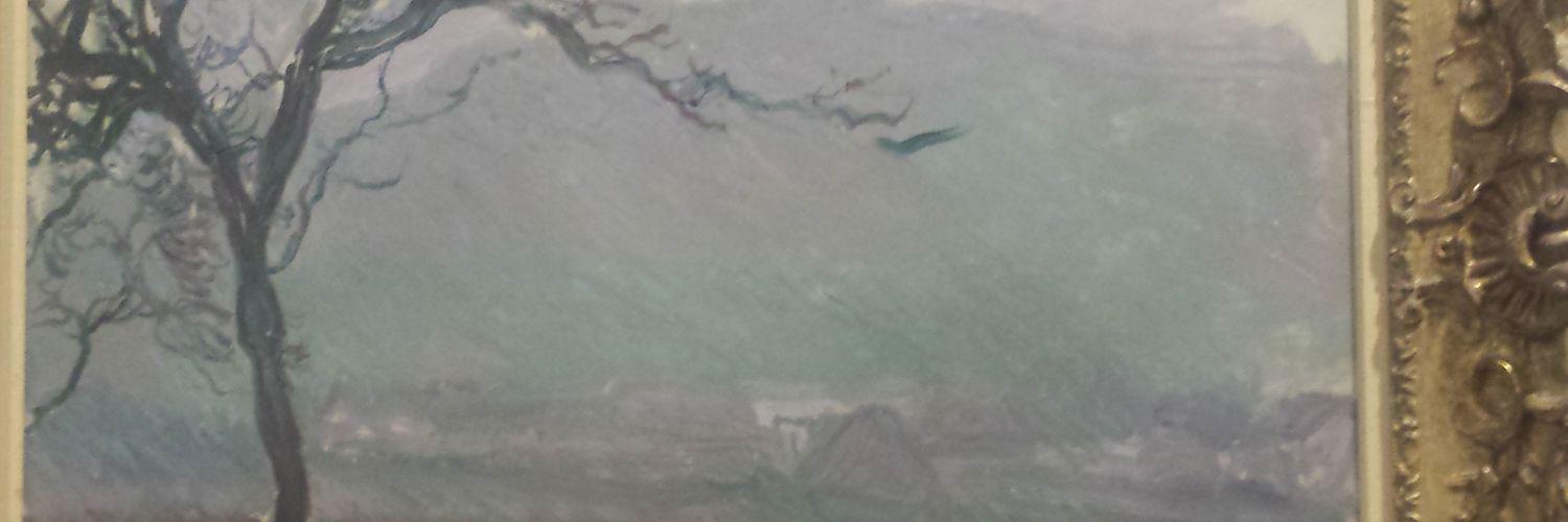 BotelloCrisana's profile banner image