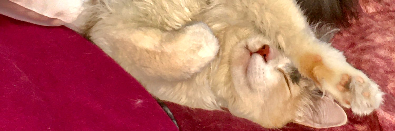 _kndg_'s profile banner image