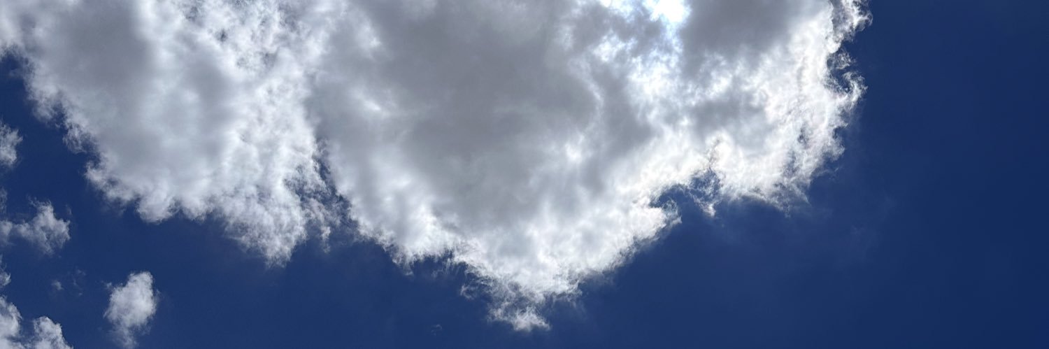 PetalsWithGab🌸🌸 banner