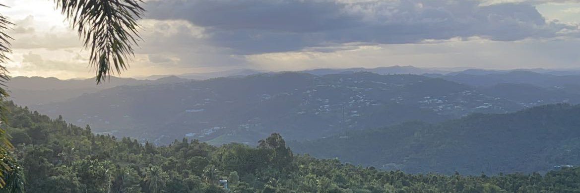 K. banner
