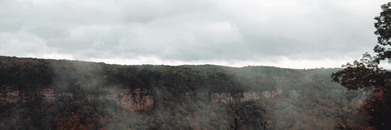 ukuleledreams25's profile banner image