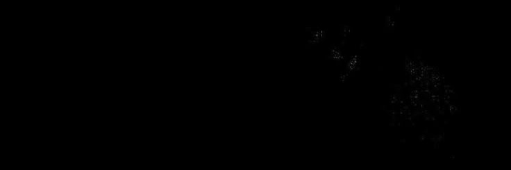 pudinfs's profile banner image