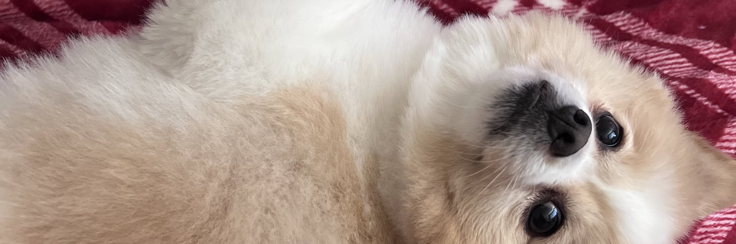 cheeskaaa_'s profile banner image
