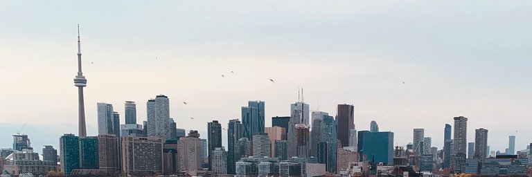 kokilerdaak's profile banner image