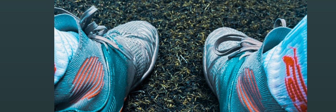 LionCreww's profile banner image