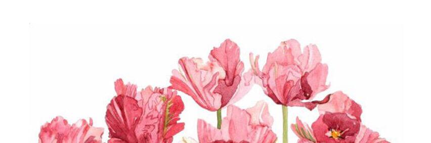 saehaaaa's profile banner image