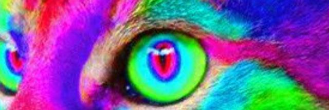 trippywright324's profile banner image