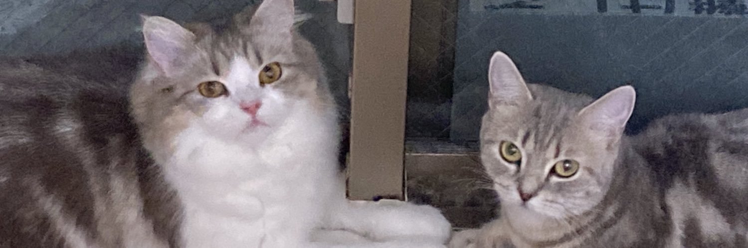 mmiy_17's profile banner image