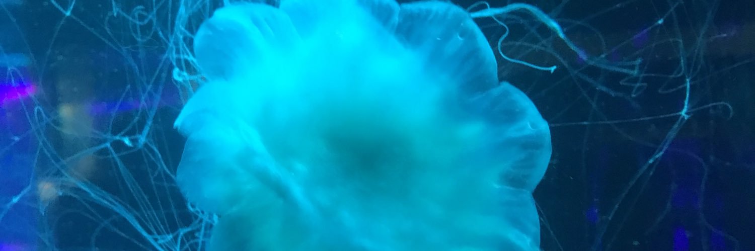 elsa_muriel's profile banner image