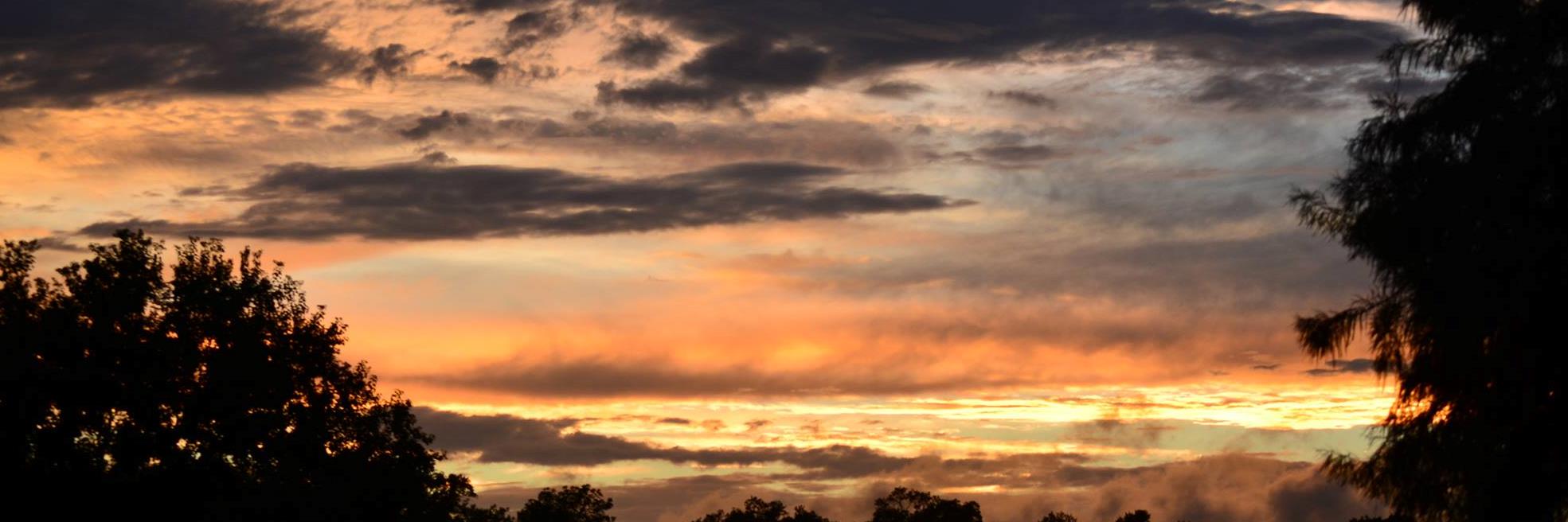 Andrea Maxwell banner