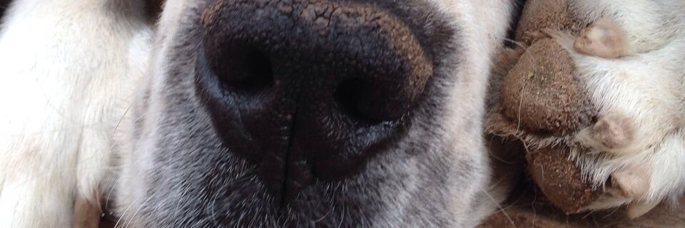 greciaa10's profile banner image