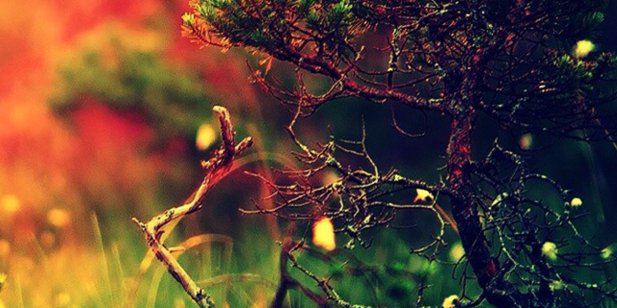 LopezJh0an's profile banner image