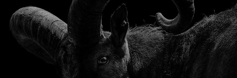 zhardy97's profile banner image