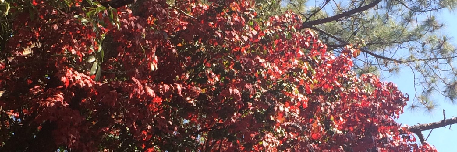 BigMWoraphop's profile banner image