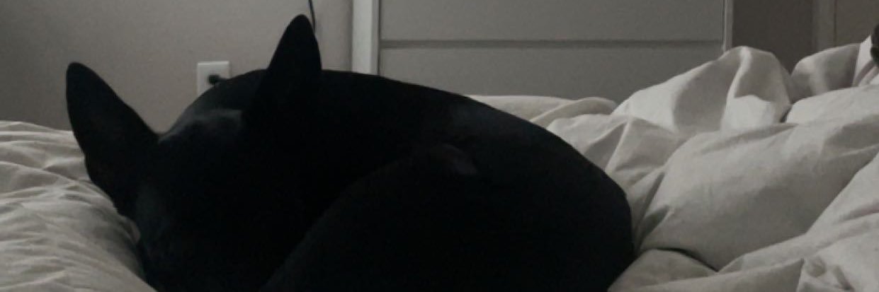 NotEliseNorlie's profile banner image