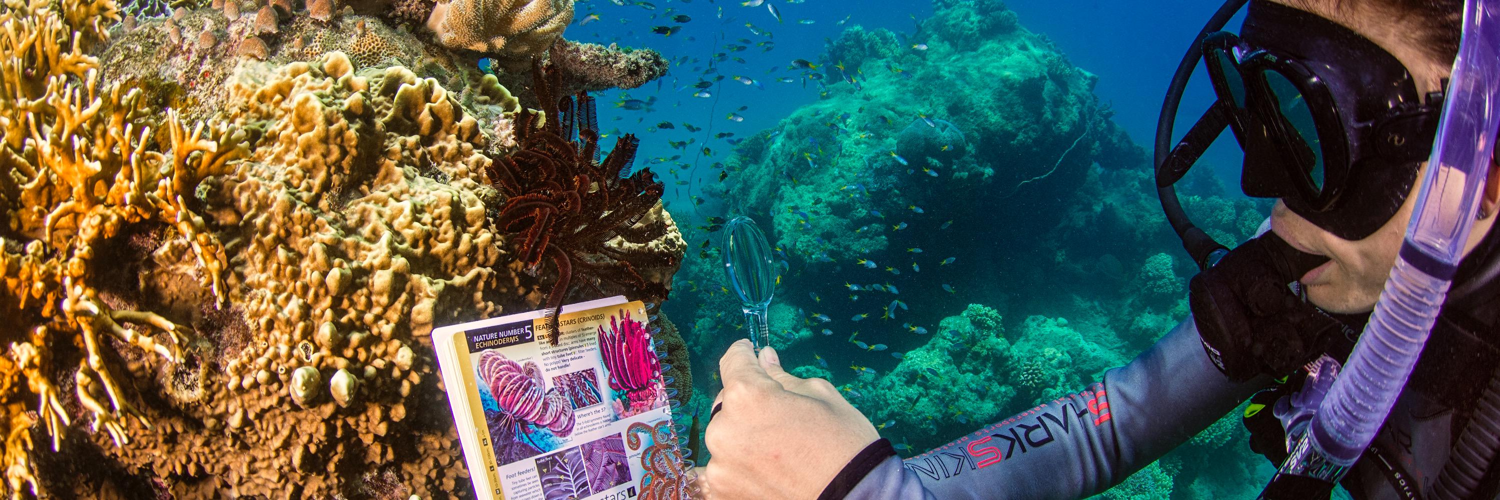 Russell Kelley banner