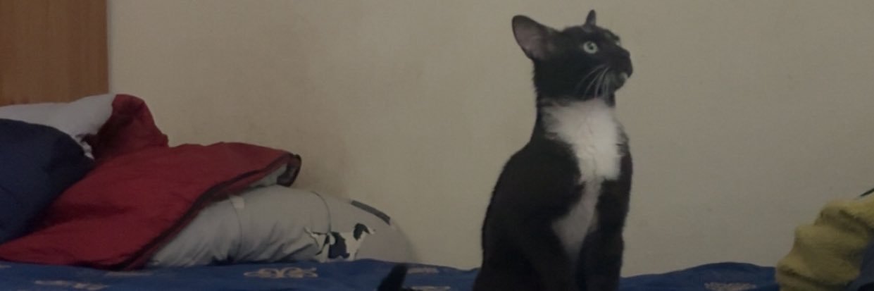 edlc99's profile banner image