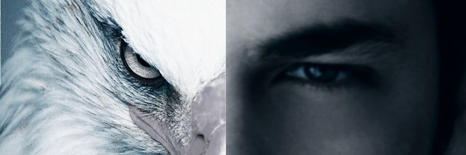 elber1903's profile banner image