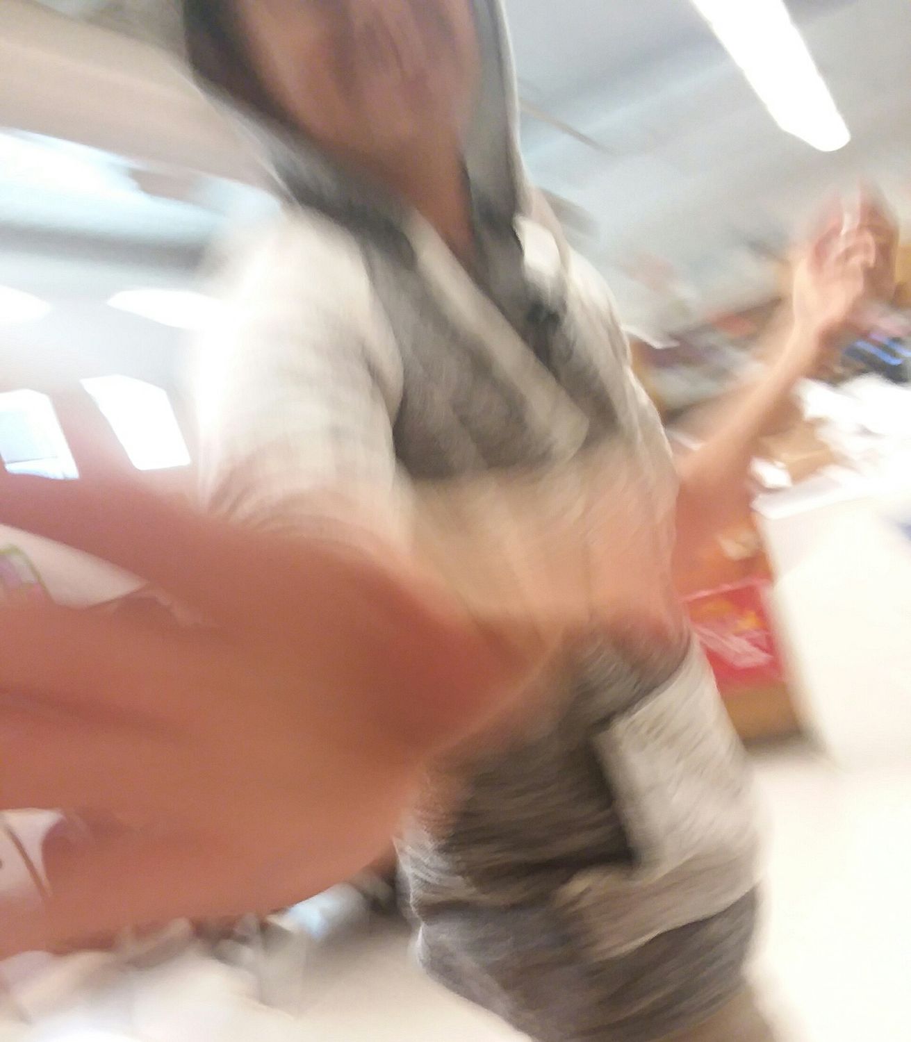 Imexaggerating's profile banner image