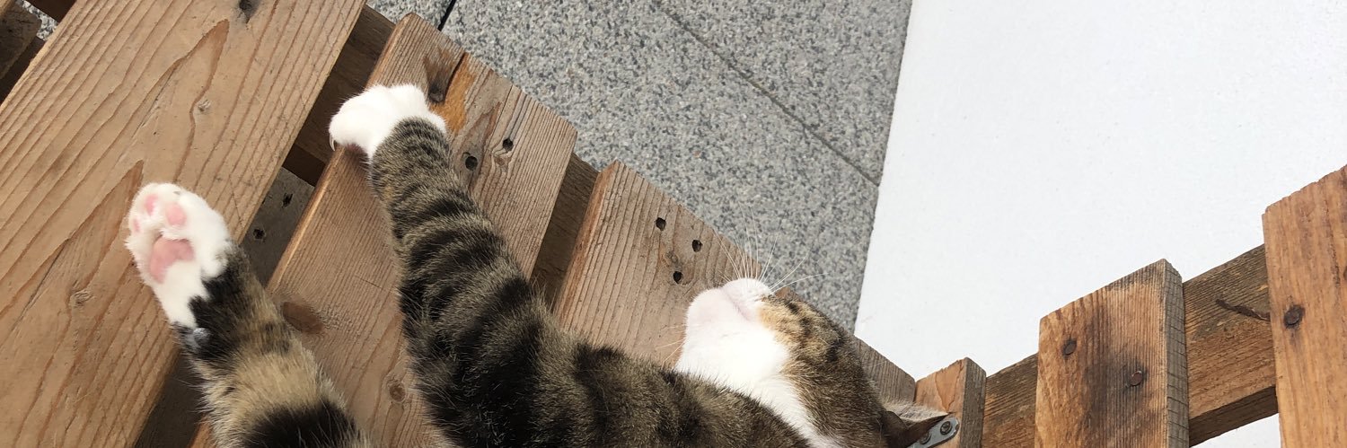 bsvmbdb's profile banner image
