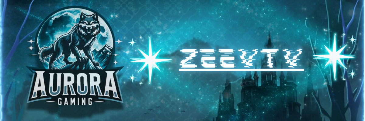ZeevTv's profile banner image