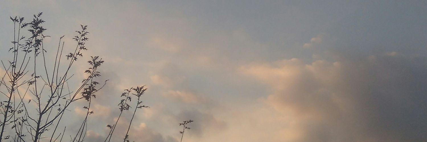 A N R O R I ²⁰¹³ banner