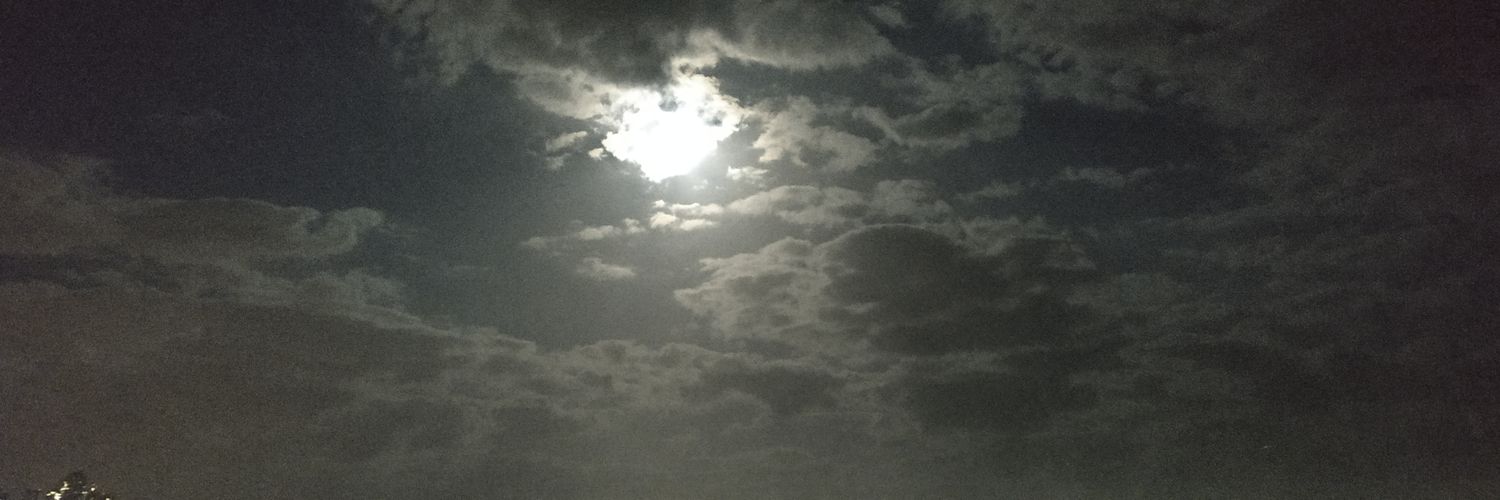 geniith9's profile banner image