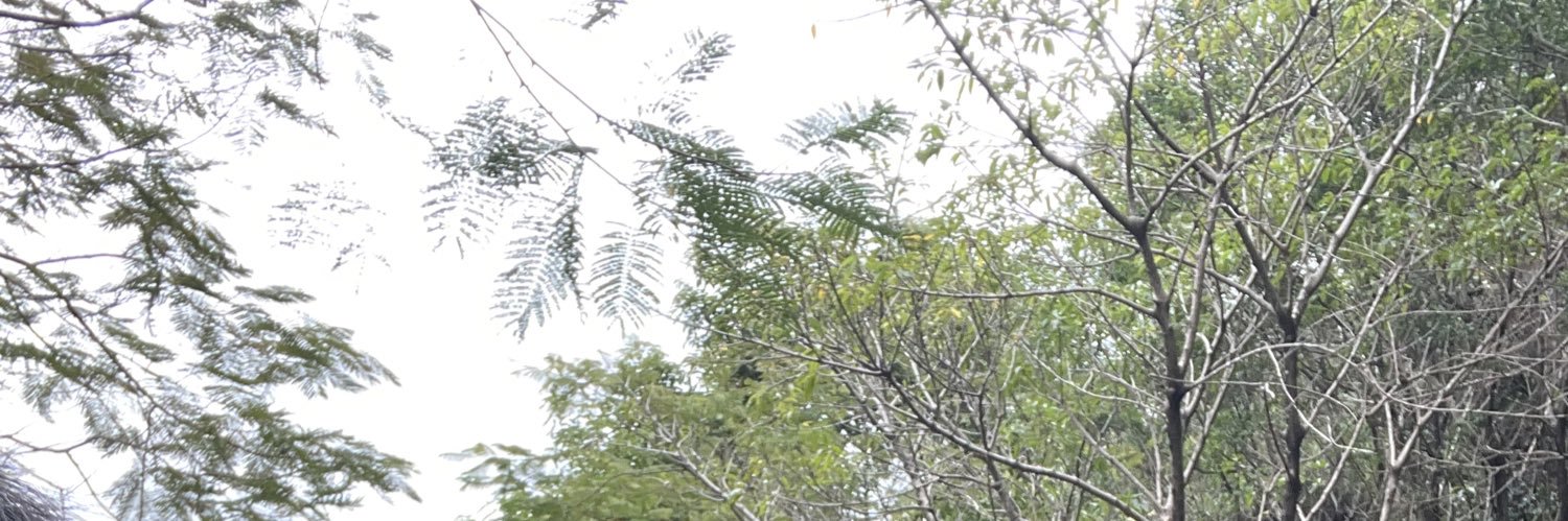 gz1088's profile banner image
