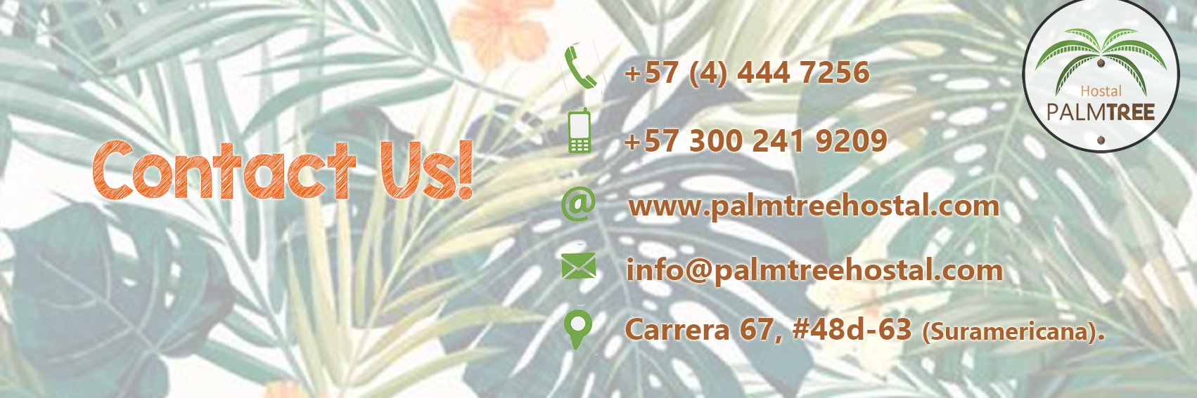 palmtreehostal's profile banner image