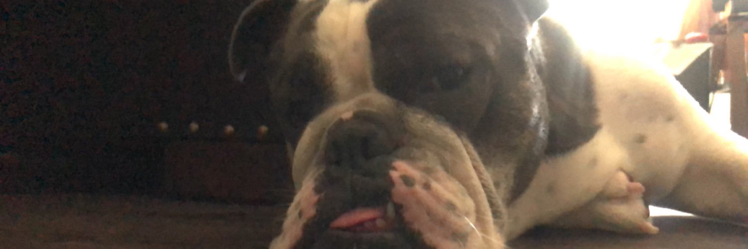 AlanRod_12's profile banner image