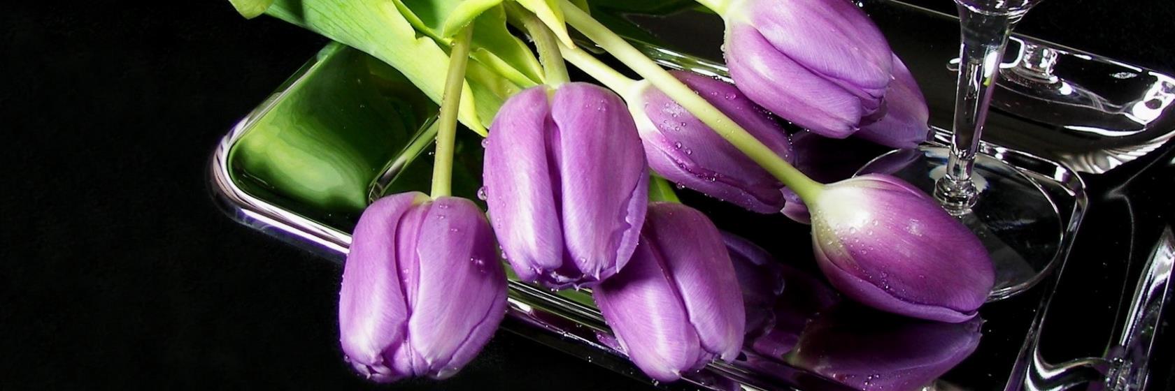 staceeegm3423's profile banner image