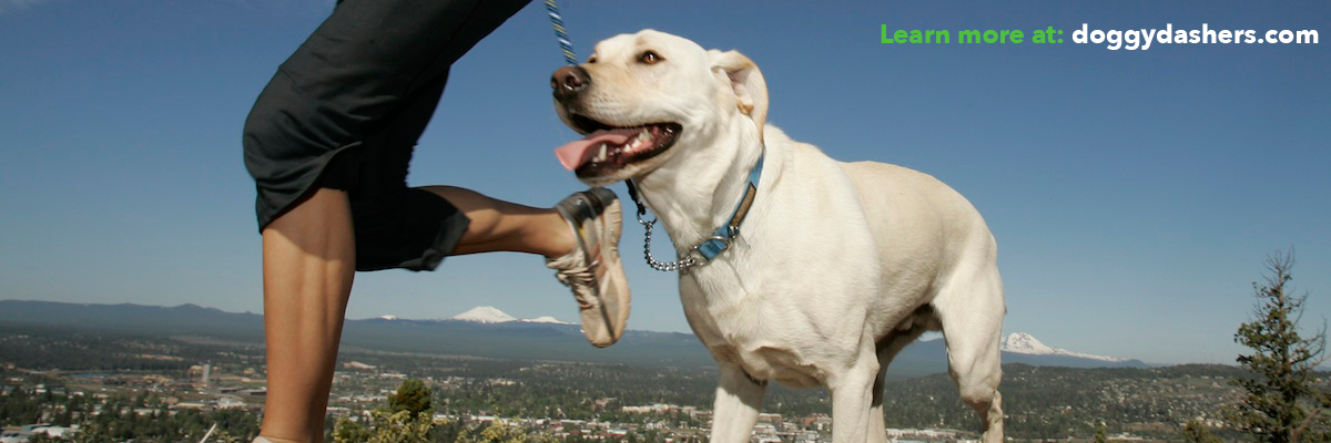 DoggyDashers's profile banner image