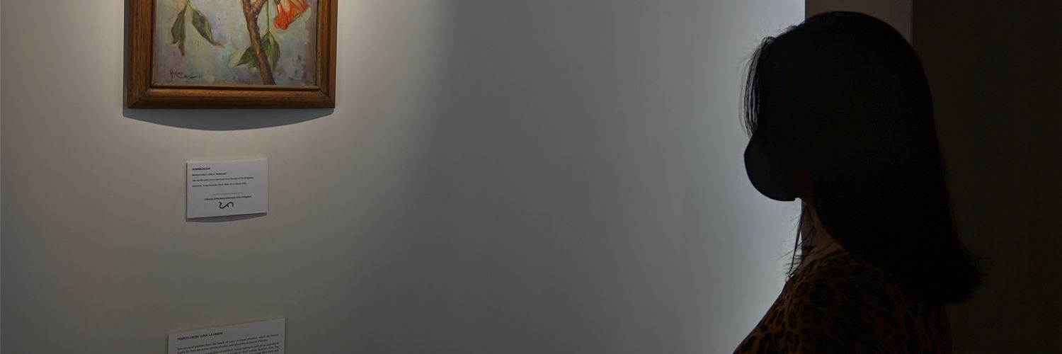 fluffy_mallowss's profile banner image