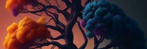nmsekulane's profile banner image