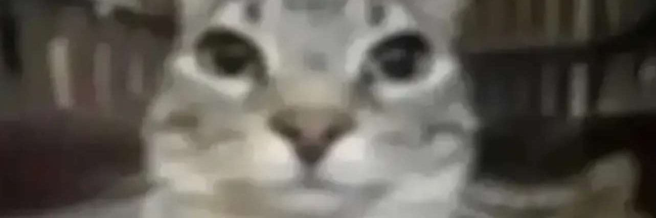 weeniehutron's profile banner image