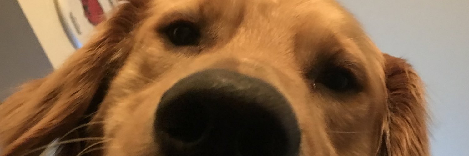 ComradeColt's profile banner image