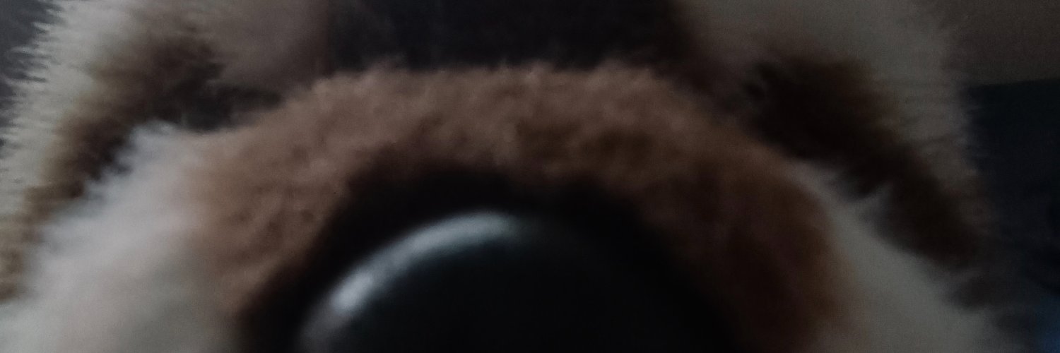 Yorokoo_'s profile banner image