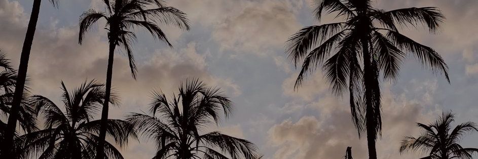 BeltranFrank's profile banner image