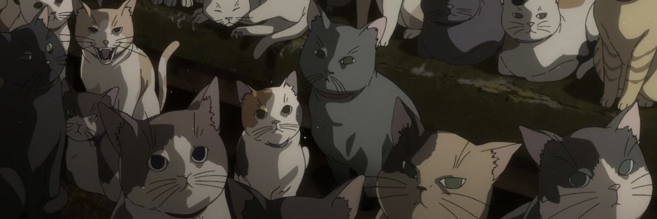 iamewwwa's profile banner image