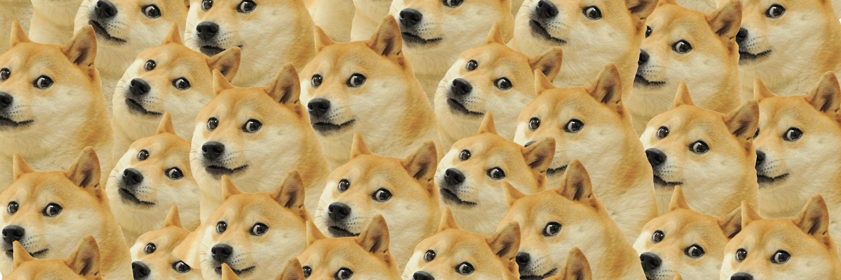 minhbeardy's profile banner image