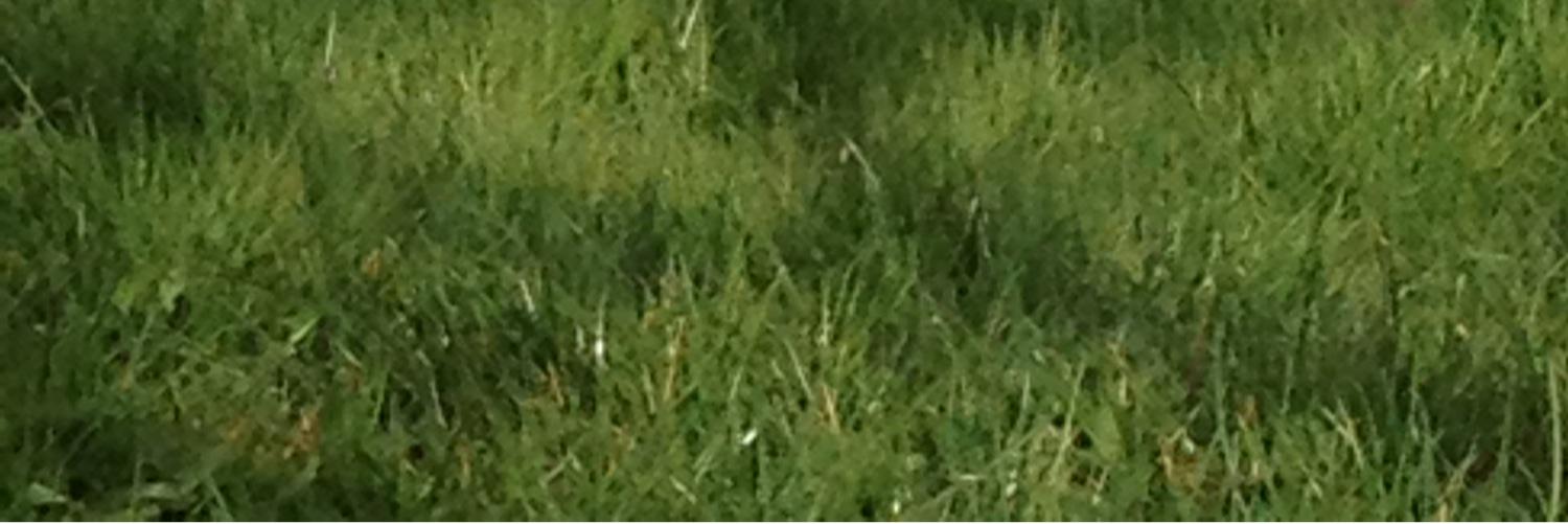 FoxGames14's profile banner image