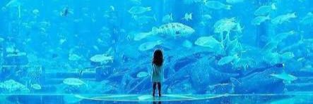 ほたる@お取引垢 banner