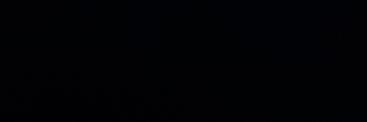 fernanda banner