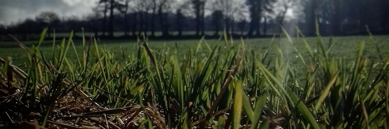 FangioCdRt's profile banner image