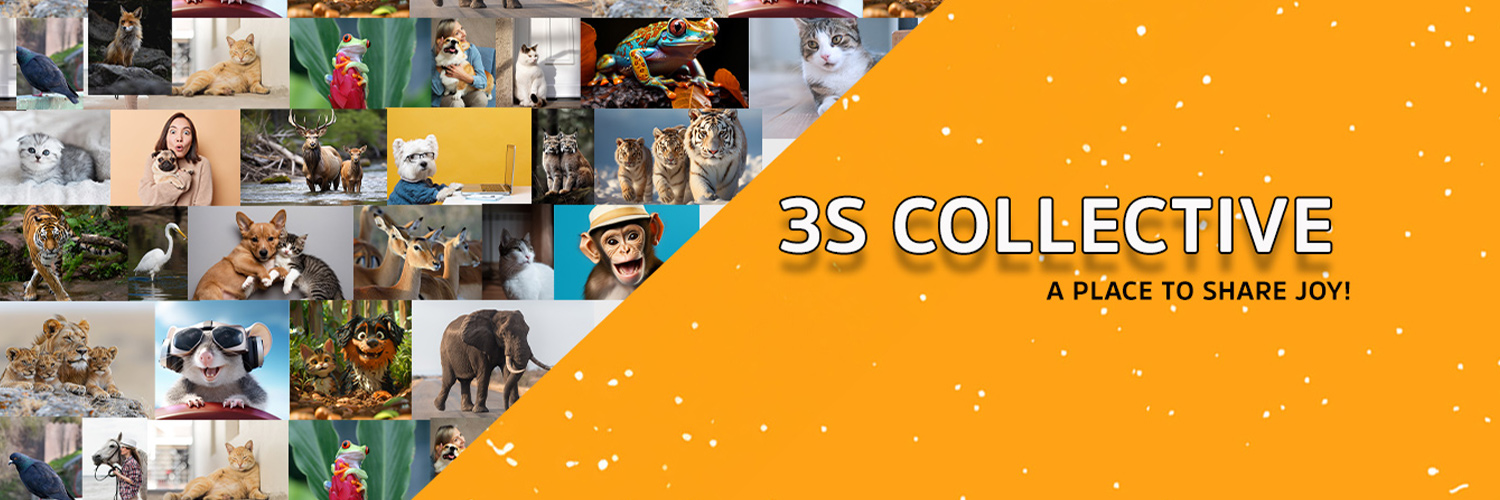 BestFunny2X's profile banner image